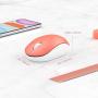 seenda Wireless Mouse, 2.4G Noiseless Mouse with USB Receiver Portable Computer Mice for PC, Laptop and Other Windows Devices - Orange & White