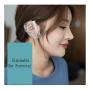 100Pcs Disposable Safe Ear Protector - Plastic Clear Waterproof Ear Covers Ear Cap Earmuffs For Hair Dye Hair Bath Hair Style Care Shower Home Barbershop Use