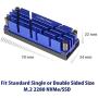Vantec ICEBERQ M.2 NVMe/SSD Heat Sink with Thermal Pad (HS-NVME150-BL, Blue)