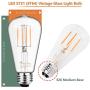 Mastery Mart Vintage LED Light Bulb, Glass ST21 Antique Edison Style, Dimmable 5.5W (60 Watt Equivalent), 500LM 2700K Soft White, E26 Decorative Filament Bulb, UL and Energy Star, 10 Pack