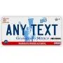 Guanajuato Mexico Placas License Plate