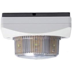 Algo 8128G2 IP Strobe Light for VoIP Notification & SIP Alerting (8128 G2)
