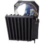GOLDENRIVER ET-LAB80 Replacement Lamp with Housing Compatible with PANASONIC PT-LB75 / PT-LB75NT / PT-LB80 / PT-LW80NT / PT-LB75NTU / PT-LB75U / PT-LB75NTEA / PT-LB75V / PT-LB75VU