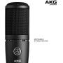 AKG P120 High-Performance General Purpose Recording Microphone
