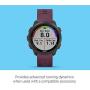 Garmin Forerunner 245, GPS Running Smartwatch with Advanced Dynamics, Berry