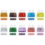 Cyleto 100pcs Standard Motorcycle Car Boat Fuses Set Assortment 5A 7.5A 10A 15A 20A 25A 30A 35A 40A 50A