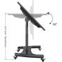 NB North Bayou Mobile TV Cart for 32-70” LED Touch Screen TV Stand for All-in-One Computer Portrait Screen with Load Capacity of 100lbs Height Adjustable Stand AVA50-B