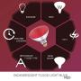 Dysmio Lighting 100 Watt 120 Volt Flood BR38 E26 Incandescent Light Bulb Red 2 Pack