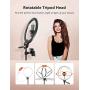 TaoTronics 12'' Selfie Ring Light with 3 Color Modes, 10 Adjustable Brightness, 61“ Extendable Tripod Stand, 2 Phone Holders, Bluetooth Remote Shutter for Photography/Makeup/Live Stream/YouTube/Vlogs