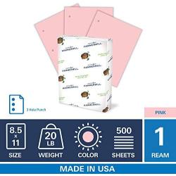 Hammermill Colored Paper, 20 lb Pink Printer Paper, 3 Hole - 1 Ream (500 Sheets) - Made in the USA, Pastel Paper, 102962R