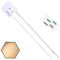 EDGELEC 100pcs 5mm Warm White LED Lights Emitting Diodes DC 3V Flat Lens 29mm Lead Frame + 100pcs Resistors (for DC 6-12V) Included, Bright Bulb Lamp