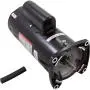2.5 HP 3450 RPM 48Y Frame Square Flange 230V Pool Motor Century # USQ1252