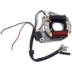 Complete Electrics Stator Coil CDI Wiring Harness Set for 4 Stroke ATV KLX 50cc 70cc 110cc 125cc Motorcycle