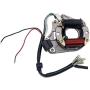 Complete Electrics Stator Coil CDI Wiring Harness Set for 4 Stroke ATV KLX 50cc 70cc 110cc 125cc Motorcycle