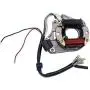 Complete Electrics Stator Coil CDI Wiring Harness Set for 4 Stroke ATV KLX 50cc 70cc 110cc 125cc Motorcycle