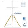VIVO White Artistic Easel 45 to 65 inch LED LCD Screen, Studio TV Display Stand, Adjustable TV Mount with Swivel and Tripod Base STAND-TV65AW