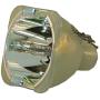 UHP 300-250W 1.3 E21.8 Philips Projection Original Projector Bulb