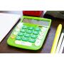 CATIGA CD-8185 Office and Home Style Calculator - 8-Digit LCD Display - Suitable for Desk and On The Move use. (Green)