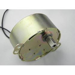 CHANCS TYD-50 Synchronous AC Motor 110V 5-6RPM CW/CCW Small Electric Gear Motor for Electric Fireplace