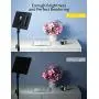RALENO LED Video Soft Light Panel with LCD Display, for All Camera DSLR Photography, Built-in Battery, Dimmable Brightness Bicolor 3200K-5600K CRI 95+, Ultra-Thin for YouTube Studio Portraits Photo