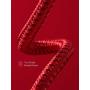 Anker iPhone Charger Cable 10 Foot, Powerline+ II Lightning Cable, (10 ft MFi Certified) Extra Long iPhone Charging Cord Compatible with iPhone SE 11 Pro Max Xs MAX XR X 8 7 6S, iPad 8 and More (Red)