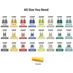MulWark 272pc Blade Car Fuses Automotive Assortment Kit - Standard & Mini & Low Profile Mini(2A 5A 10A 15A 20A 25A 30A 35A), w/A Fuse Puller For Car Boat Truck SUV RV Auto Fuses