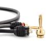 Deadbolt Speaker Wire with Banana Plugs, 10 ft, High Strand Count 12 AWG Pure Copper, OFC