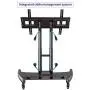 NB North Bayou Mobile TV Cart for 32-70” LED Touch Screen TV Stand for All-in-One Computer Portrait Screen with Load Capacity of 100lbs Height Adjustable Stand AVA50-B