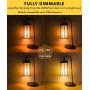 Dimmable Half Chrome Light Bulbs, CKWPY 6W A19 LED Filament Vintage Edison Light, Warm White 2700K, E26 Base for Mirror Pendant Light Bulbs, Pack of 6