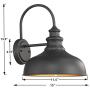 Bestshared Farmhouse Wall Mount Lights, Gooseneck Barn Light, Outdoor Wall Lantern for Porch with Black Finish and Contrast Color Interior