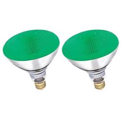 Dysmio Lighting 100 Watt 120 Volt Flood BR38 E26 Incandescent Light Bulb Green 2 Pack