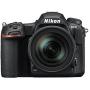 Nikon D500 DX-Format Digital SLR with 16-80mm ED VR Lens