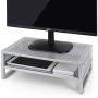 Simple Trending 2-Tier Monitor Stand Riser, Metal Desk Organizer Stand with Anti-Slip Suction Cup for Laptop, Computer, iMac, Pc, Printer,Silver