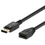 Rankie DP Extension Cable, DisplayPort Male to Female Extension Cable, 6 Feet, Black