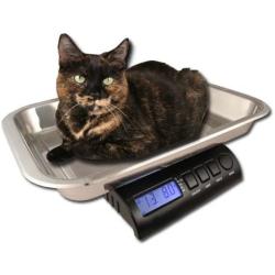 ZIEIS | 30 Lb. Capacity | Digital Animal Scale | Z30P-SSP | 15 x 10'' x 2'' BigTop Stainless Steel Platform | AC/DC | 0.1 Ounce Accuracy