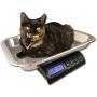 ZIEIS | 30 Lb. Capacity | Digital Animal Scale | Z30P-SSP | 15 x 10'' x 2'' BigTop Stainless Steel Platform | AC/DC | 0.1 Ounce Accuracy