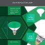 Dysmio Lighting 100 Watt BR38 Incandescent Flood Light Bulb Green Light, 4 Pack
