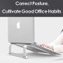 SKYZONAL Laptop Stand Aluminum Ventilated Stand Ergonomic Riser (Silver)