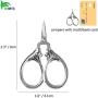 BIHRTC Tiny Scissors Cross Stitch Scissors Stainless Steel Sharp Tip Scissors Embroidery Scissors Small Sewing Scissors Shears for Crafting Threading Needlework Handcraft DIY Working