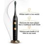 WAGNER Switzerland WHITEN+ Edition. Smart Electric Toothbrush with Pressure Sensor. 5 Brushing Modes and 3 Intensity Levels, 8 Dupont Bristles, Premium Travel Case. (Charcoal Black)