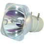 Lamp Bulb Original Replacement for Philips UHP 210-170W 0.0 E20.9