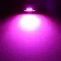 Phinlion Super Bright DE3175 LED Purple Bulb 3030 6-SMD Festoon 1.25'' 31mm DE3021 DE3022 LED Bulbs for Car Interior Map Dome Trunk Courtesy Light, Pack of 4