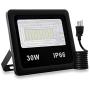 LED Flood Lights,30W Super Bright Outdoor Floodlight,Security Light with Plug,3000lm 6500K IP66 Waterproof Garden Lights for Entryways,Stairs,Yard and Garage (Daylight White)