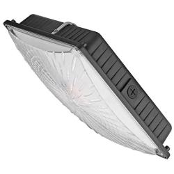 1000LED LED Canopy Light Fixtures 65W, Upgrade Bright 8,000LM Daylight 5000K 250W HID/HPS Replacement, Waterproof IP65 Gas Station Garage Light UL DLC Listed
