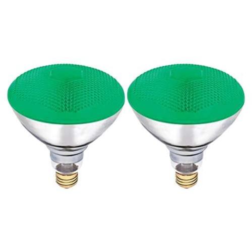Dysmio Lighting 100 Watt 120 Volt Flood BR38 E26 Incandescent Light Bulb Green 2 Pack