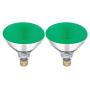 Dysmio Lighting 100 Watt 120 Volt Flood BR38 E26 Incandescent Light Bulb Green 2 Pack