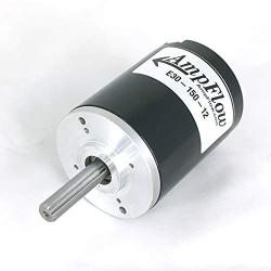 AmpFlow E30-150-12 Brushed Electric Motor, 6V, 12V, or 18 VDC, 5900 RPM