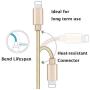 RoFI Compatible Phone Cable, [2Pack] 2FT Nylon Braided Fast Charging USB Cord Replcement for Phone X 8 8 Plus 7 7 Plus 6s 6s Plus 6 6 Plus 5 5S 5C SE Pad Air Mini and More (2 Pack Gold, 2 FT)