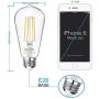 Dimmable Vintage LED Edison Bulbs 60 Watt Equivalent, Eye Protection Led Bulb with 95+ CRI, Daylight White 4000K, ST58 Antique LED Filament Bulbs, E26 Medium Base, Pack of 6