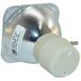 Lamp Replacement for Philips UHP 190-160W 0.9 E20.9